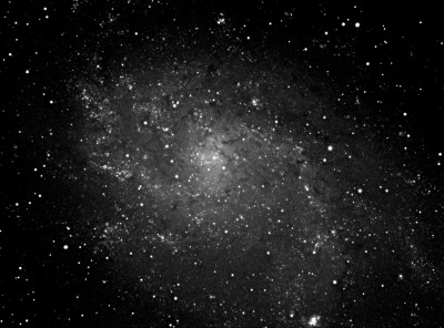M33