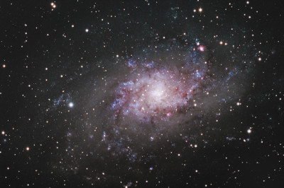 M33