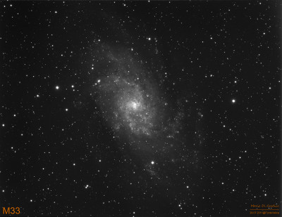 M33