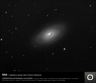 M64