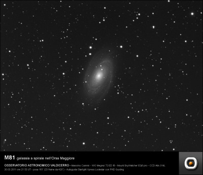 M81
