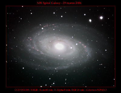 M81gal