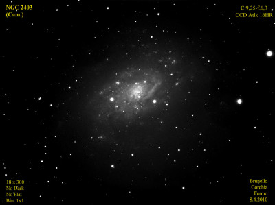 NGC 2403