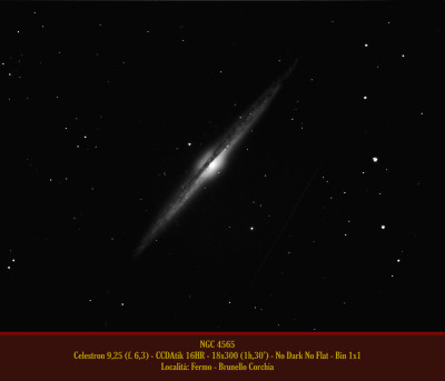NGC 4565