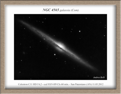 NGC 4565