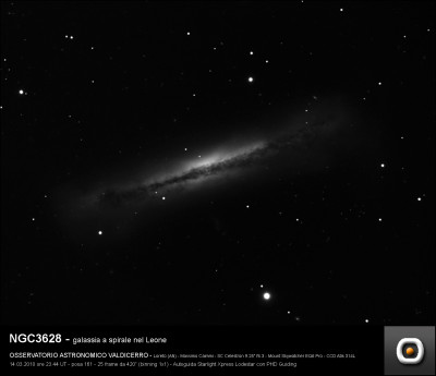 NGC3628