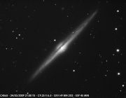 NGC4565