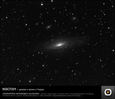NGC7331