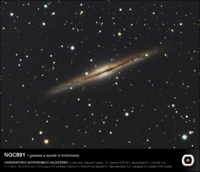 NGC891