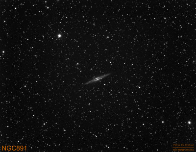 NGC891