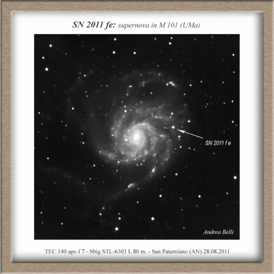 SN 2011fe in M 101