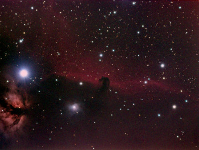 B33-HorseHead