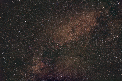 Cigno - Test DSLR