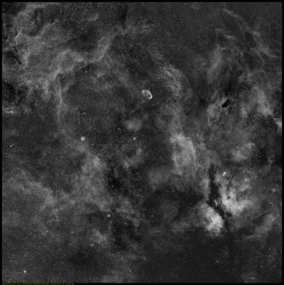 Nebulosita nel Cigno