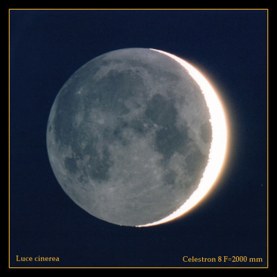 18_luna_cinerea_ok