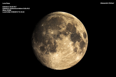 Luna Rosa