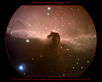 25 horsehead