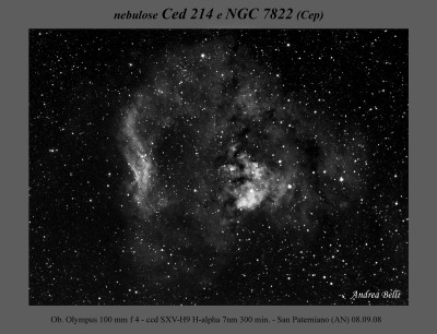 Ced214 Ha web