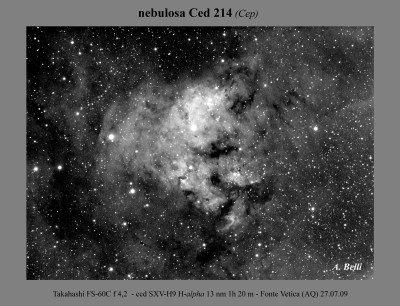 Ced214 Ha13nm somma web