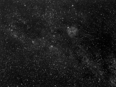 cefeo h45x4mind