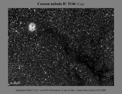 Cocoon Ha 13nm somma web