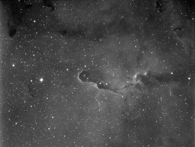 elephant trunk nebula