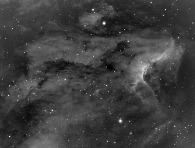 IC 5070 Pelican Nebula