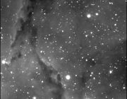 IC1396 / VDB142