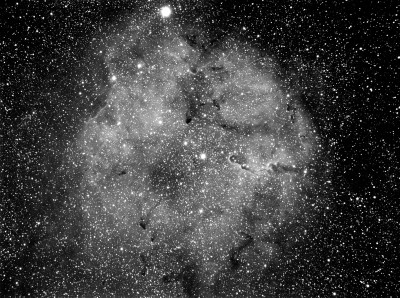 ic1396h 75x4minmsd2w2