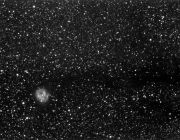 ic5146-b168h 72x4minl2w
