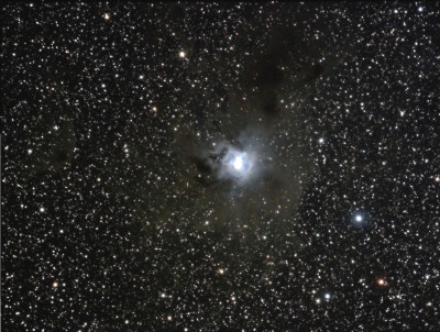 Iris Nebula