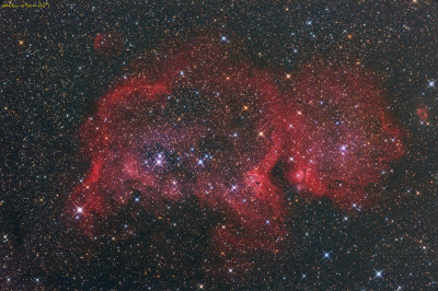 la nebulosa anima