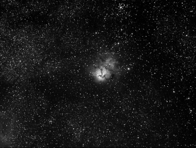 M 20 Trifida