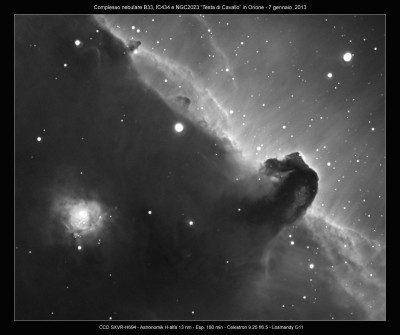 Nebulosa B33 "Testa di cavallo"