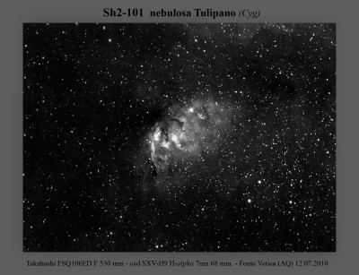 nebulosa Tulipano Sh2-101