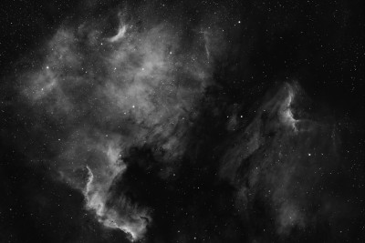 Nebulose del cigno