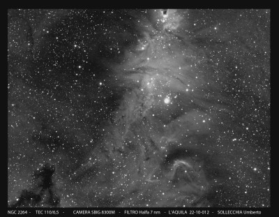 NGC 2264