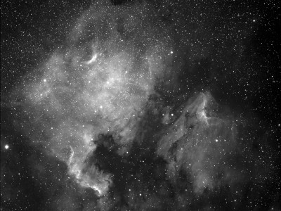 ngc7000 e dintorni