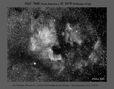NGC7000 Ha elab1 web