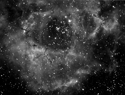 rosetta h 32x4mindms