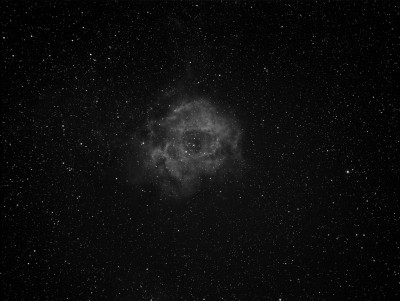 rosetta 