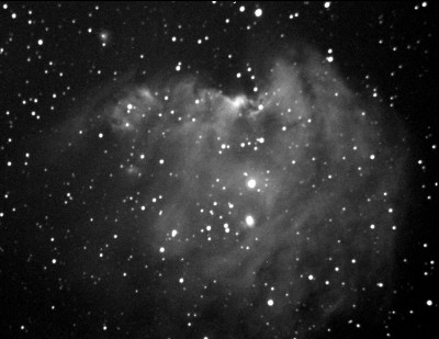 scimmia8x4min-h
