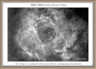 una Rosetta di fine inverno