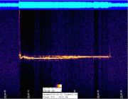 RM_2feb09